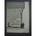 1913 Davey Tree Expert Ad - Examine Your Trees Now