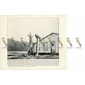 Totem Poles, Alaska, USA, Book Illustration (Pr...