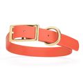 Dog Pet Collar with Brass Hardware Size L W 1” ...