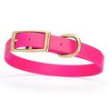 Dog Pet Collar with Brass Hardware Size M W 3/4...