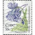 EIRE, FLOWER, Butterwort, Pinguicula grandiflor...