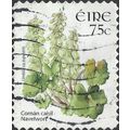 EIRE, FLOWER, Navelwort, Umbilicus rupestris, a...