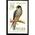 Poland 1975 Bird 2.00z Used Stamp Falcons