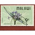 Malawi 1968 Wild Flowers 9d borreria dibrachiat...