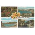 multiview, Isles of Scilly vintage unused postc...