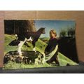 YOUNG GOAT AND GIRL, SWISS ALPS unused postcard =