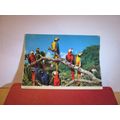 COLOURFUL MACAW PARROTS unused postcard by John...