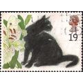 GB, CATS, Black Cat, white 1995, 19p