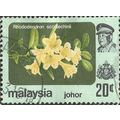 JOHORE, MALAYSIA, FLOWERS, Rhododendron scortec...