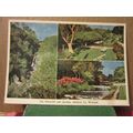 WATERFALL AND GARDENS, ASHFORD, CO. WICKLOW, IR...