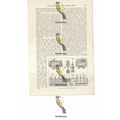 Royal Exchange, Cornhill, London, Book Illustra...