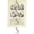 Devil's Revenge, Victorian Cartoon, Book Illust...