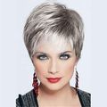 Wig Short Straight Silver Grey Classic Syntheti...