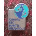 Pin Badge, Metal & Enamel: Groupe Esc Nantes At...