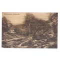 WATERSMEET, LYNMOUTH, DEVON unused vintage post...