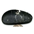 Black Septarian Freeform Gemstone Cabochon 470
