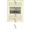 Travelling Down The Niger, Africa, Book Illustr...