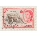 CAYMAN ISLANDS 1959 QE2 IGUANA LIZARD WILDLIFE ...
