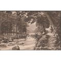 Footpath from Watersmeet, Lynmouth, Devon, 1923...