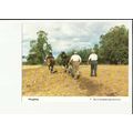 PLOUGHING Postcard by Women's Institure