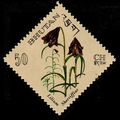 Bhutan 1967 Flowers 50ch MNH Stamp