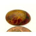 Petrified Wood Freeform Gemstone Cabochon 295