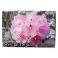 West Virginia Rhododendron Fridge Magnet
