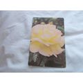 WEBBS GARDENING CARD /HYBRID TEAROSES (21/12)