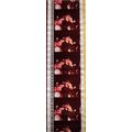 Pk DAU - A - MIX - B 043q. 1 STRIP OF 5 - 35MM ...