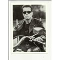 ARNOLD SCHWARZENEGGER Postcard (C023)