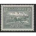1917/1918 Michel 120 - mint no gum