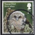 GB 2018 Owls - Tawny Owl Chick 1st Used