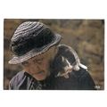 FRENCH KITTEN .used postcard 1991 postmark