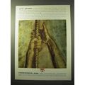 1964 Tennessee Gas Transmission Company Ad - Let Go