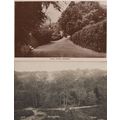 Shirley Hills Oaks Road 2x Surrey Old RPC Postc...