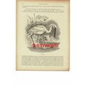 Spoonbill, White Stork On Reverse, Birds, Book ...