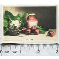 1924 Cavanders Homeland Series No. 21 Still Life