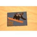 Barrett Christy 2000 Fleer Adrenaline 2000 GOLD...