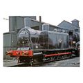 pu3474 - Steam Engine No.56239 at Polmadie Shed...