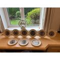 Hornsea Christmas Plates collection x 9 from 19...