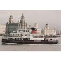 Colour Postcard - TSMV Snowdrop - Mersey Ferry ...