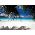 254x183cm White sandy beach Large wall mural ph...