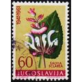Yugoslavia. 1961 60d S.G.1006 Used