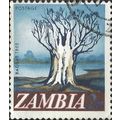 ZAMBIA, Baobab Tree, blue 1968, 2n, #2