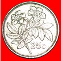 ROSE (1991-2007): MALTA ★ 25 CENTS 1991! LOW ST...