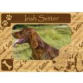 Irish Setter w Paws Engraved Wood Picture Frame...