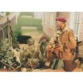 Mortar Artillery Army Positioning Firing In WW2...