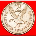 Ⰶ GREAT BRITAIN (1974-1992): FALKLAND★2 PENCE 1...