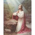 Jesus On Mount Olive, 8x10 inch Framing Print W...