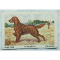 Australian Vitabrits Weeties Tailwaggers 33 Iri...